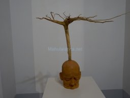 Exposición el tiempo de la Crisálida